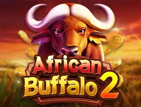 afican-buffalo-2
