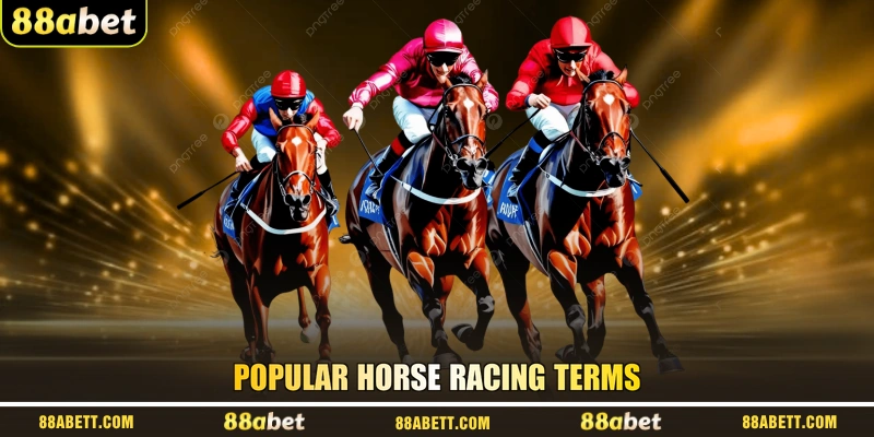 Popular horse racing terms